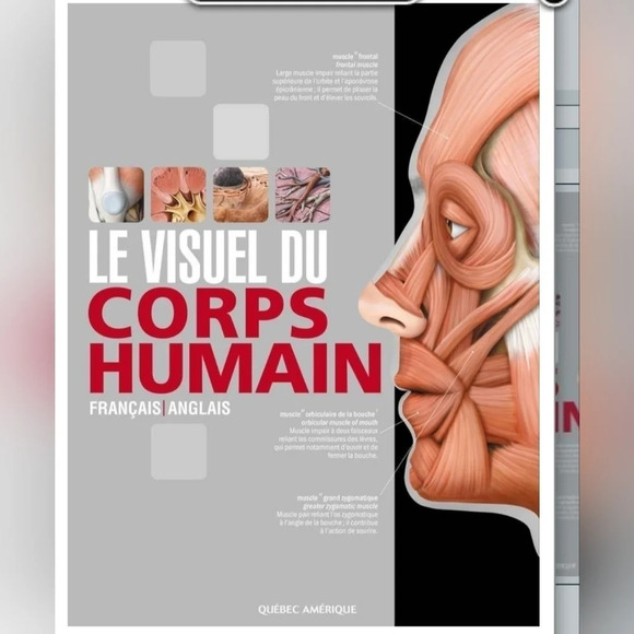 Le  Visuel du corps humain - Picture 1 of 3